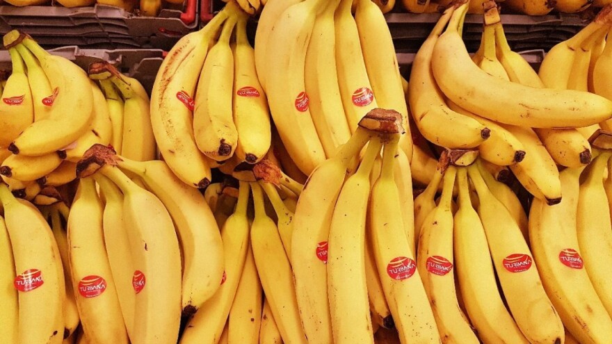 U Evropi manja potražnja za bananama rezultira nešto nižim cijenama