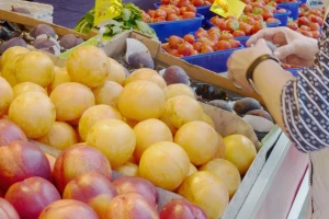 Kleli smo se u domaću proizvodnju, a tržište nam je preplavljeno uvozom