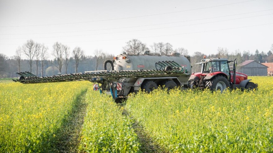 Pravilnom gnojidbom uljane repice do visokih prinosa