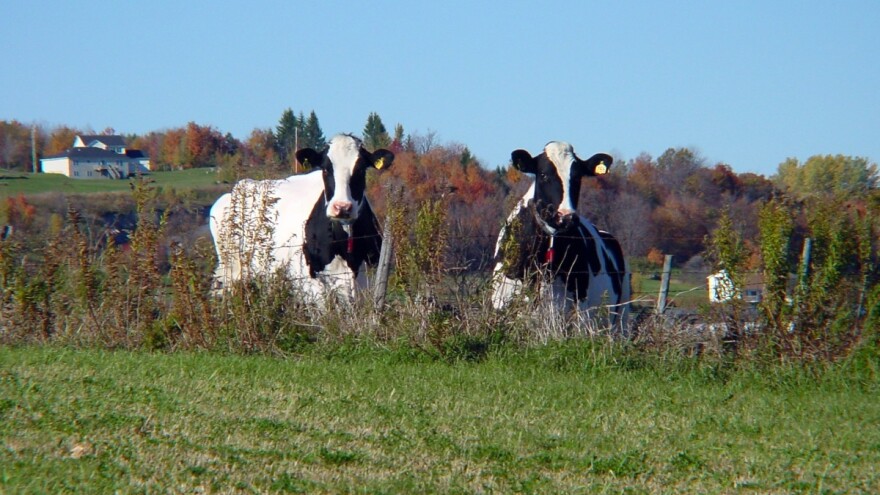 Obrtna sredstva za ruralni razvoj: Izmjena uvjeta kreditiranja