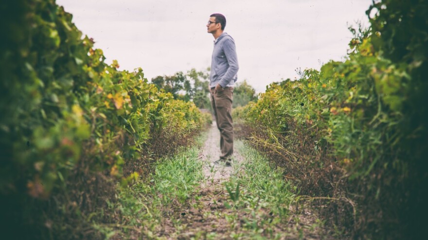 APPRRR: Druge izmjene Natječaja za tip operacije 6.2.1.