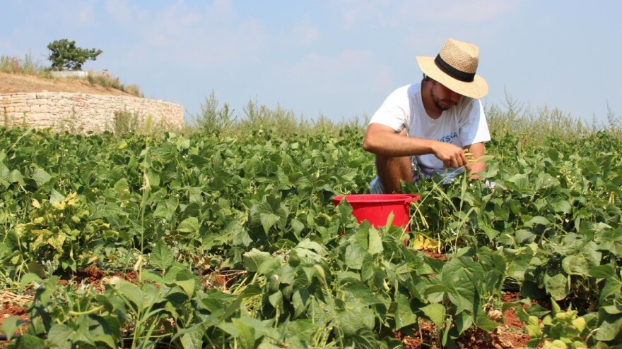 Početak sedmice i dalje nestabilan, no moći će se obavljati vanjski radovi