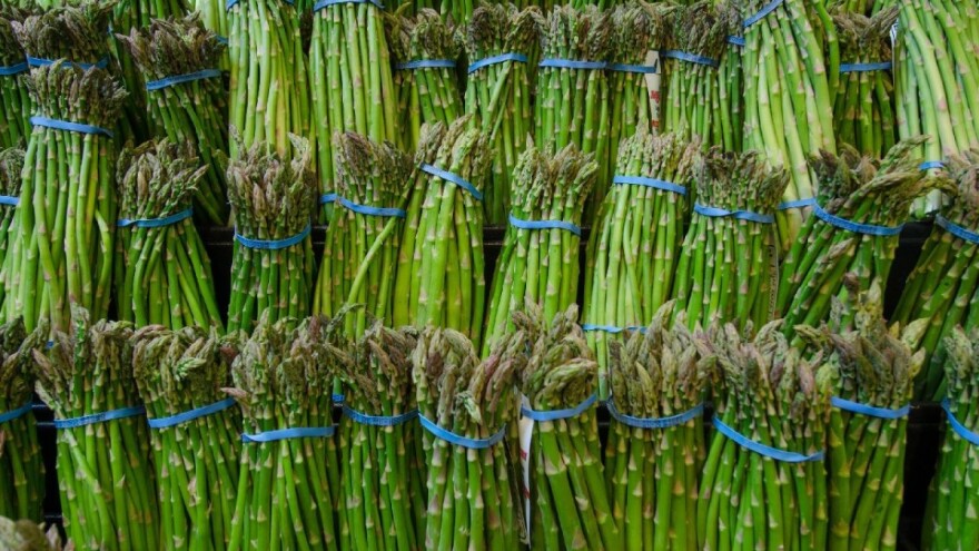 U pošiljci šparoga pronađen novi štetnik koji prijeti europskim poljoprivrednicima?