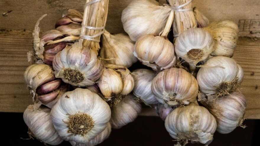 U prvih pola godine vrijednost izvoza bijelog luka bila je ravna nuli