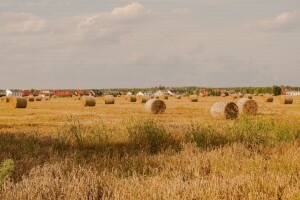 Nezapamćeni nedostatak oborina u Francuskoj - slama suša od zraka u Sahari?