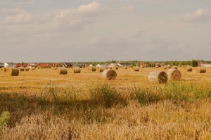 Nezapamćeni nedostatak oborina u Francuskoj - slama suša od zraka u Sahari?