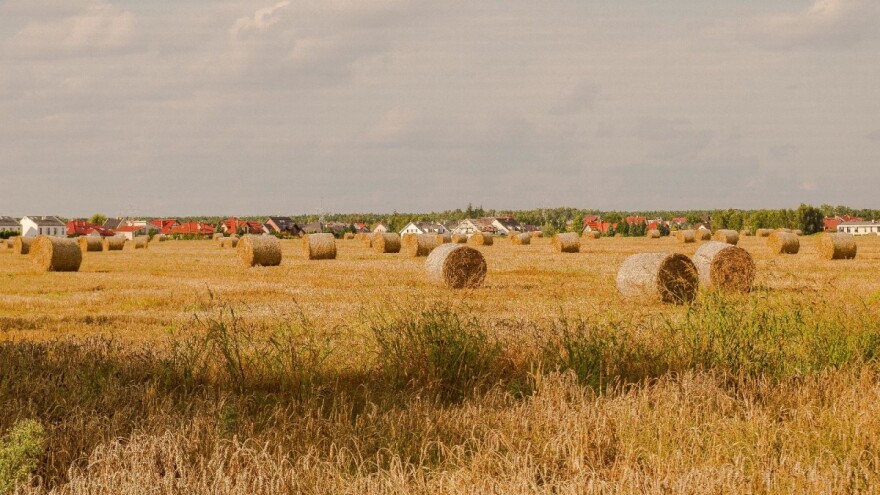 Nezapamćeni nedostatak oborina u Francuskoj - slama suša od zraka u Sahari?