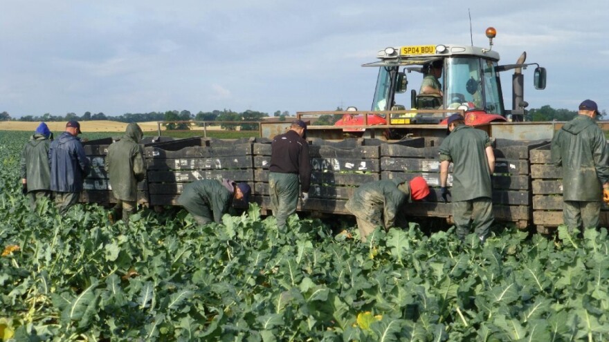 Testiraju farmere i radnike na poljima kako bi se proizvodnja nesmetano odvijala