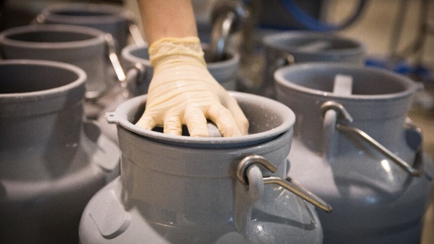 Otkupna cijena mlijeka niža i na domaćem i EU tržištu