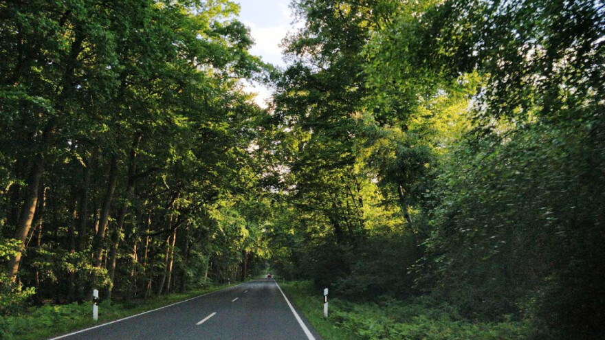 Izmjena Zakona o šumama rasteretit će gospodarstvo za oko 33 milijuna kuna?