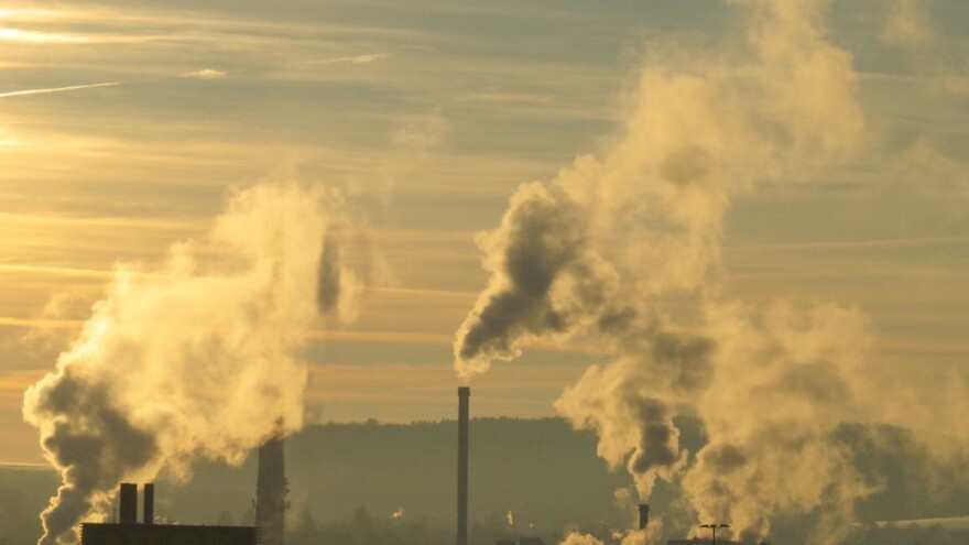 Unesko Katedra za bioetiku za Evropu: Imenujte zagađivače vazduha u Smederevu