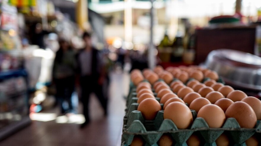 Domaće tržište: Cijene najprodavanijih jaja iste kao u lipnju, pileći trupovi jeftiniji