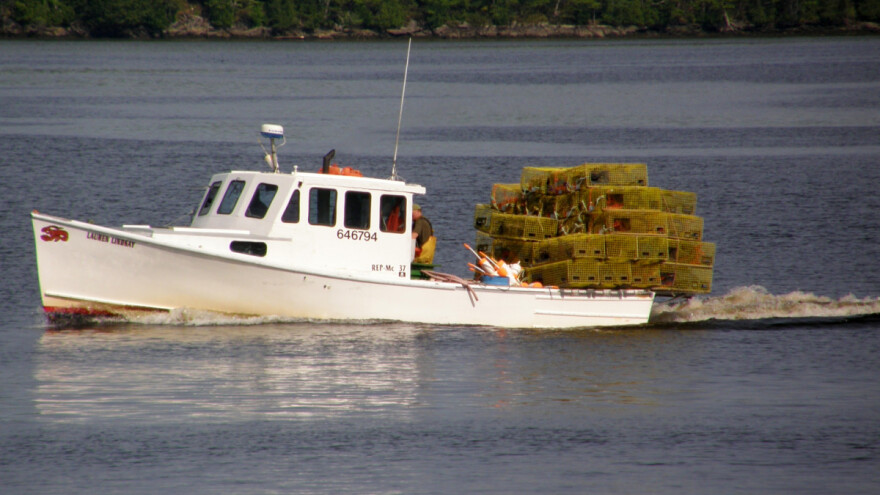 EU popušta Trumpu: Smanjila carinske pristojbe za jastoga