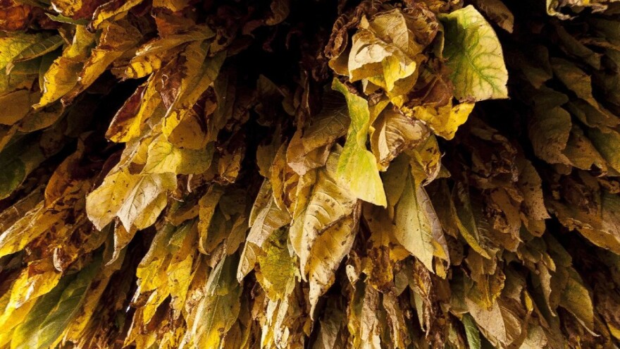 Otkriveno 400 kilograma švercovanog duvana u Rumi