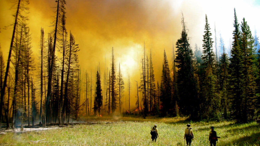 Kopernikus: Požari na Arktiku ovo leto postavili nove rekorde emisije CO2