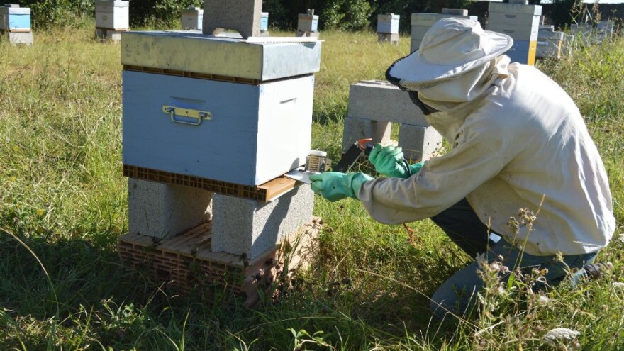 Tehnologija u pčelarstvu: Daljinsko merenje prinosa i alarm prilikom krađe?