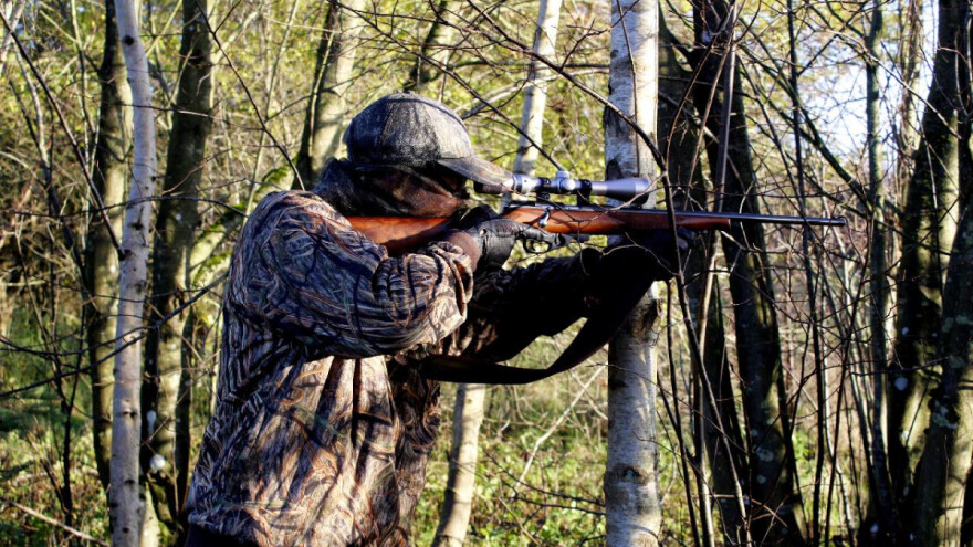 Uvodi se zabrana korištenja olovne sačme u vlažnim staništima na EU razini?