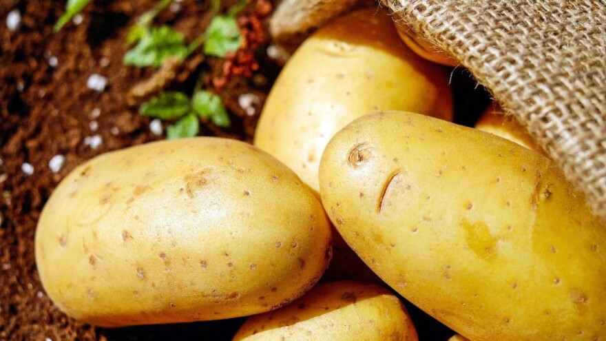 Krompir težak 1,6 kilograma rodio u selu Klenje