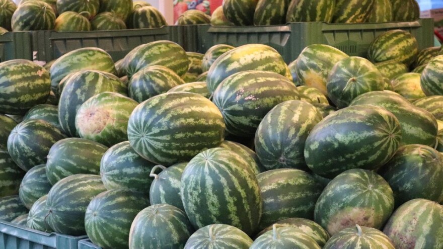 Zašto uvozimo bajat, a naš svež bostan propada?