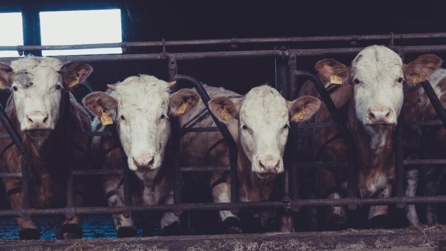 Poljoprivrednici se pitaju: Ako nije dovoljan 1,5 milion KM za poljoprivredu, zašto se onda ne planira dugoročno?