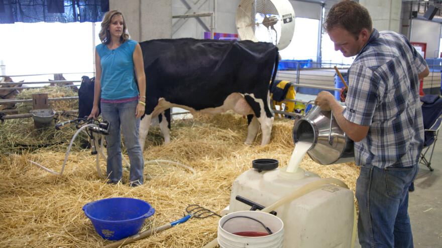 U prvih osam mjeseci ove godine bilježimo pad prosječne cijene sirovog mlijeka