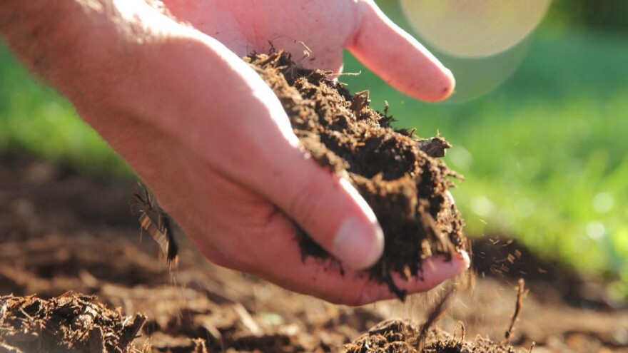Zdravlje počinje u tlu, predavanje prof.dr.sc. Mirjane Brmež u sklopu projekta Eko-logično