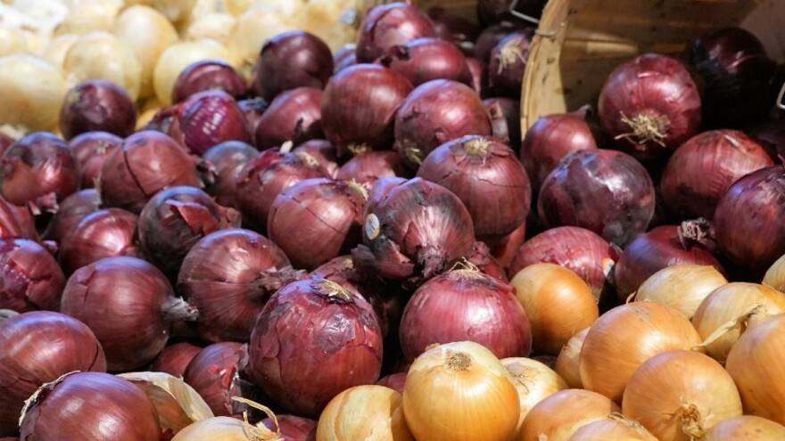 Evropski proizvođači zadovoljni indijskom zabranom izvoza luka, ali ne i rodom