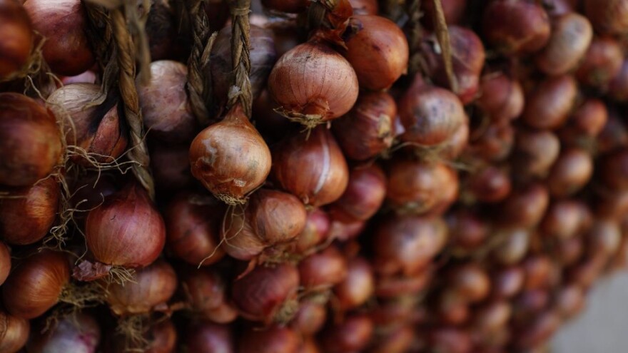 Kod skladištenja luka važni su svi koraci - od načina vađenja do sušenja