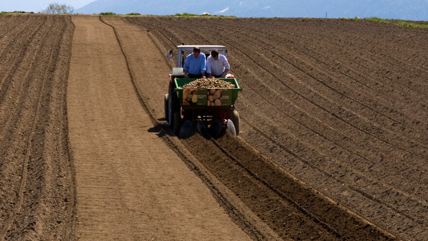 Odobrene dodatne potpore poljoprivrednim proizvođačima u tri zemlje EU