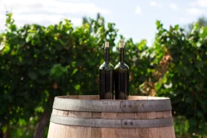 Loše vreme, malo vinograda - ipak, ima nade za naša vina?