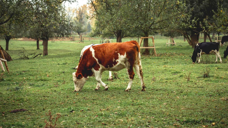 Nagrada za unaprjeđenje eko proizvodnje - za bioraznolikost osigurano 40 milijardi eura?