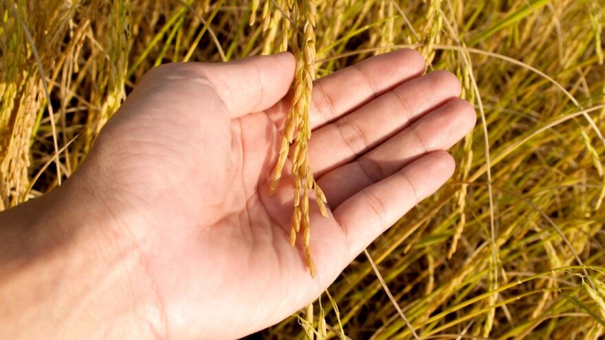 Okrugli stol povodom Svjetskog dana hrane: Strategija od polja do stola glavna tema