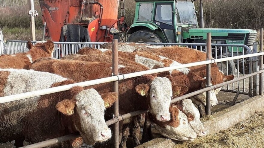 Ažuriranje poljoprivrednih gazdinstava do kraja marta - preduslov za podsticaje