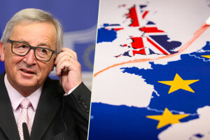 Brexit 5 puta veća prijetnja EU agraru od ruskih sankcija?!