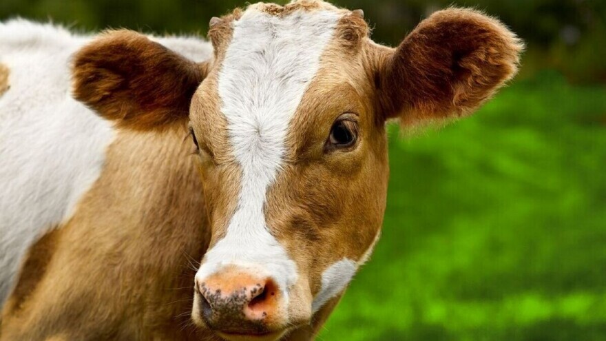 Isplaćeno preko 2,2 miliona KM za podsticaje