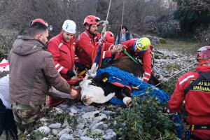Splitski HGSS čitav dan vadio junicu iz bunara