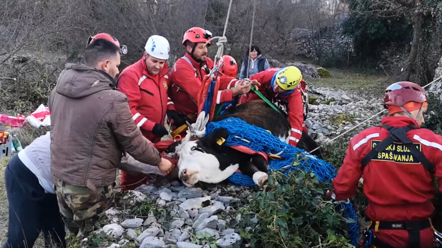 Splitski HGSS čitav dan vadio junicu iz bunara