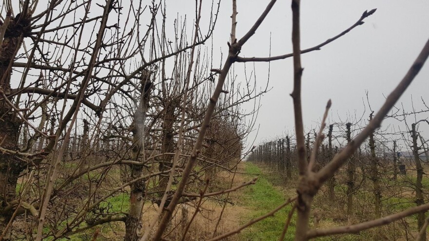 Najavljena rosulja neće bitnije uticati na radove na otvorenom