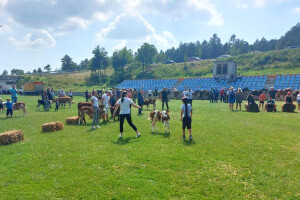 Smotra u Lici: Predstavljeni rasni, gizdavi i snažni konji, ali i telad