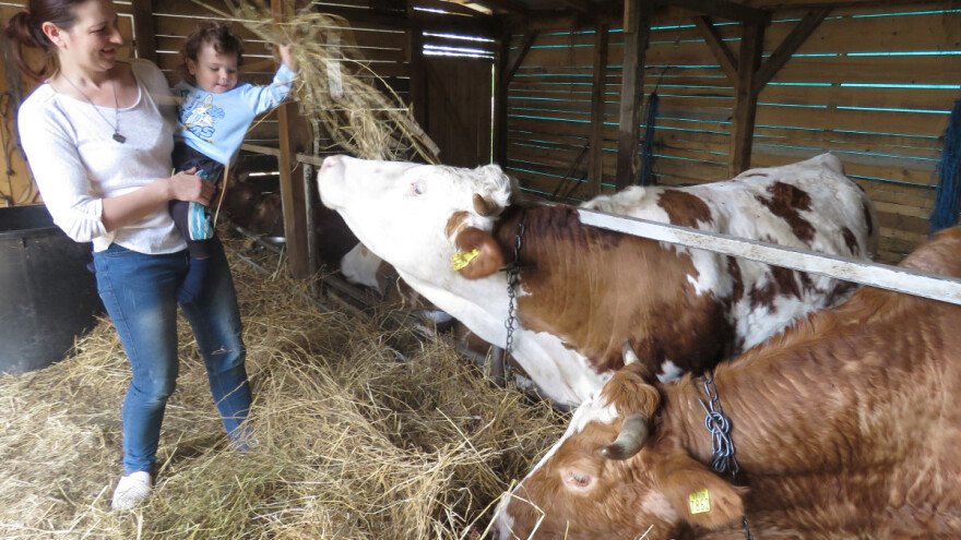 Ako svaki dan radiš uvijek nešto kapa, a ako nećeš raditi onda ne kapa nigdje