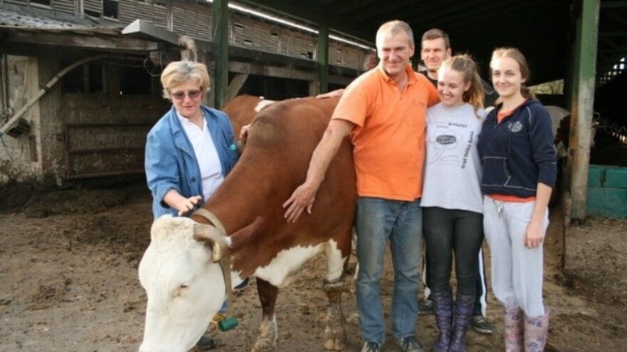 Jurkasi proizveli svoj prvi Camembert