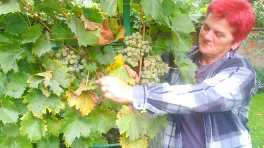 Birokracija nam oduzima puno vremena