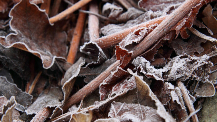 Pravo vrijeme za malčiranje i zaštitu biljaka