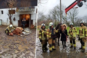 Vatrogasci pomogli kobili Gipsy da ustane