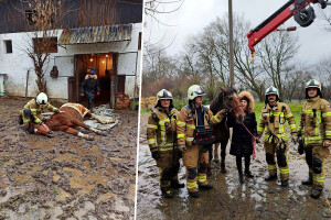 Vatrogasci pomogli kobili Gipsy da ustane