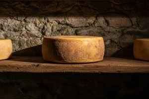 Kačkavalj - tradicionalni proizvod pirotskog kraja