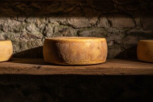 Kačkavalj - tradicionalni proizvod pirotskog kraja