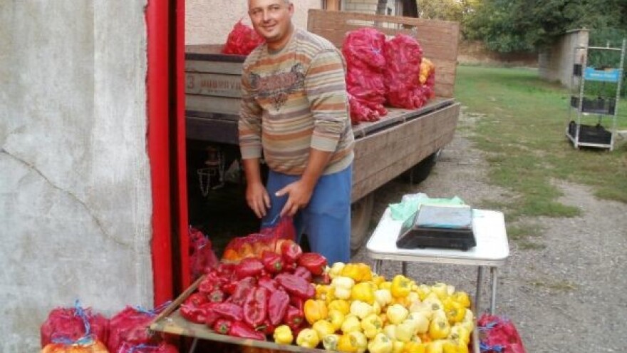 Vruće leto poskupelo proizvodnju povrća