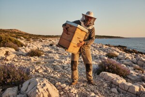 Kaduljin med kornatske težačke paše