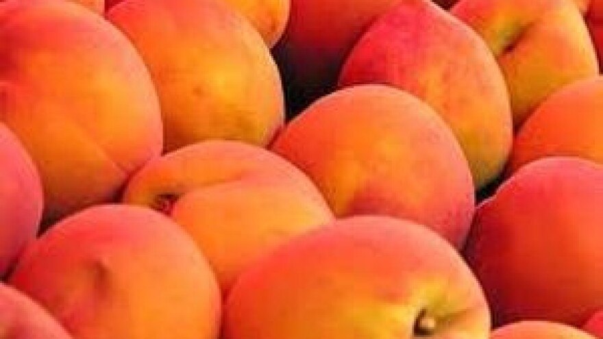 Zaštitite voćne nasade